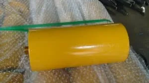 Roletes livres no amazonas